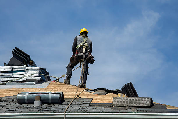 Professional Roofing technician working in Plains, GA